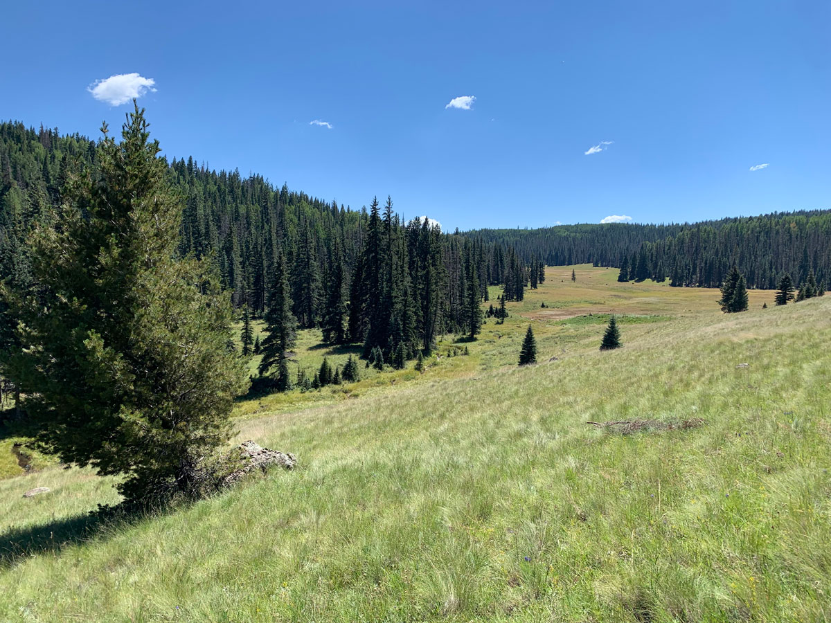 Mount Baldy